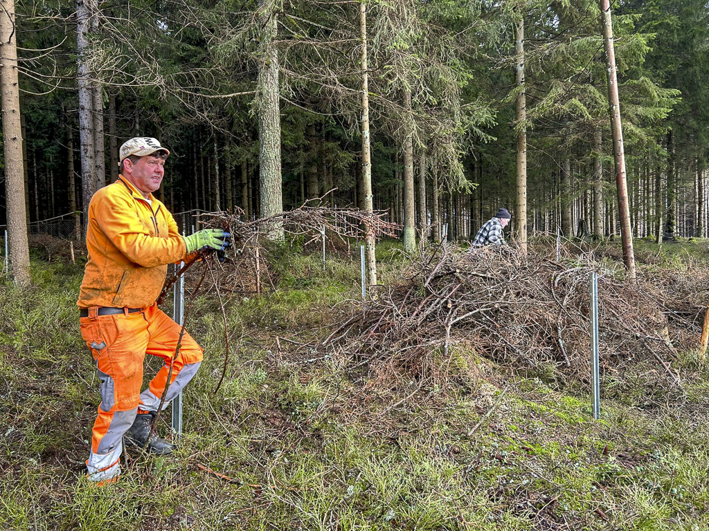 Baumpflanzaktion an der Belegstelle