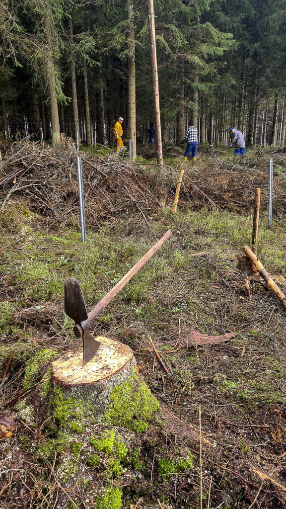 Baumpflanzaktion an der Belegstelle