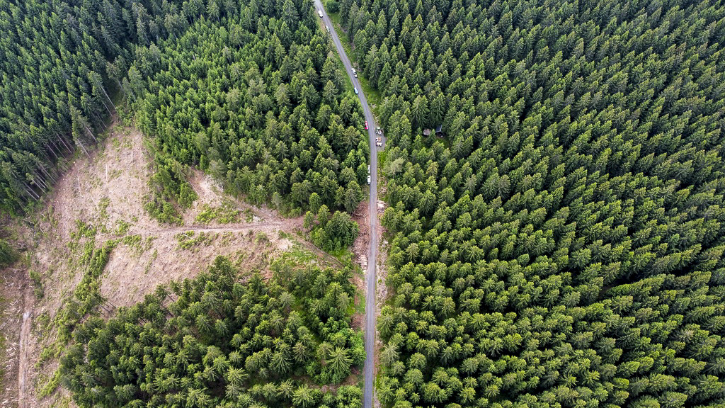 Drohnenbilder vom Belegstellenfest