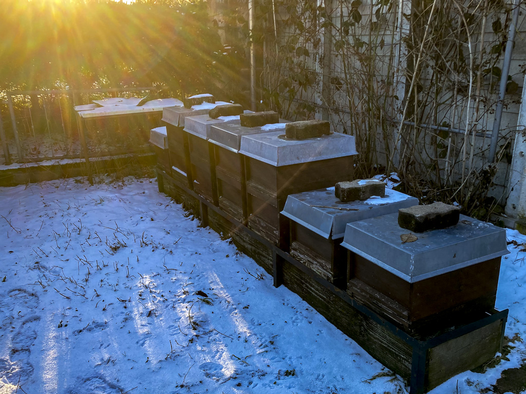 Bienenstock im Winter