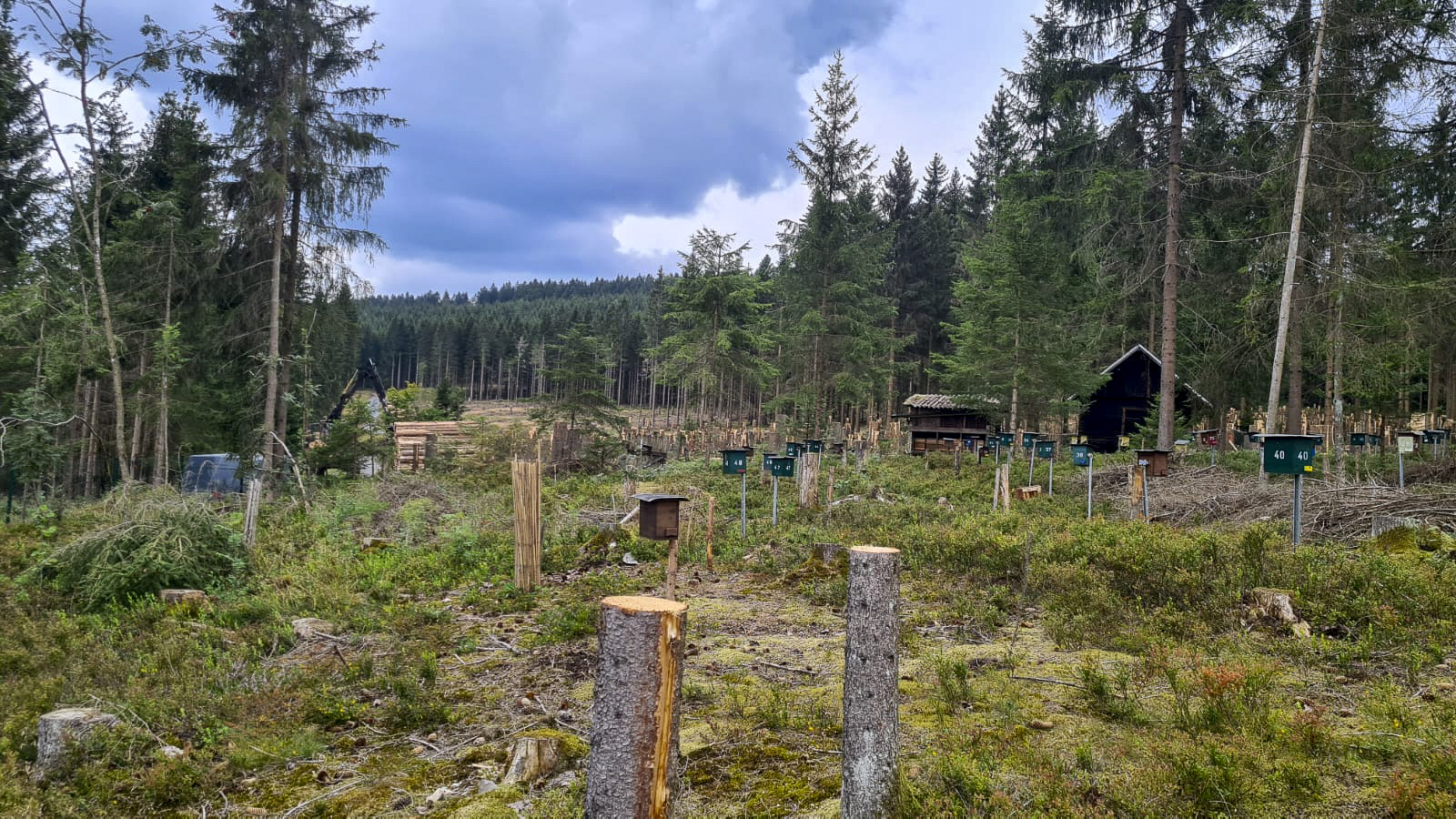 Aktuelle Bilder von der Belegstelle