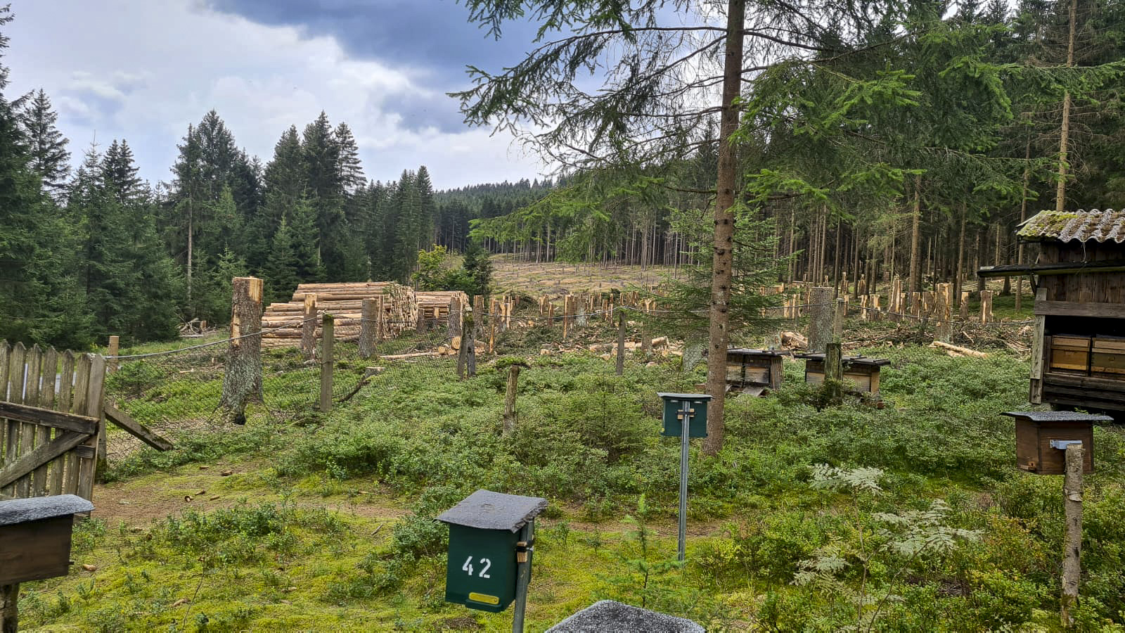 Aktuelle Bilder von der Belegstelle