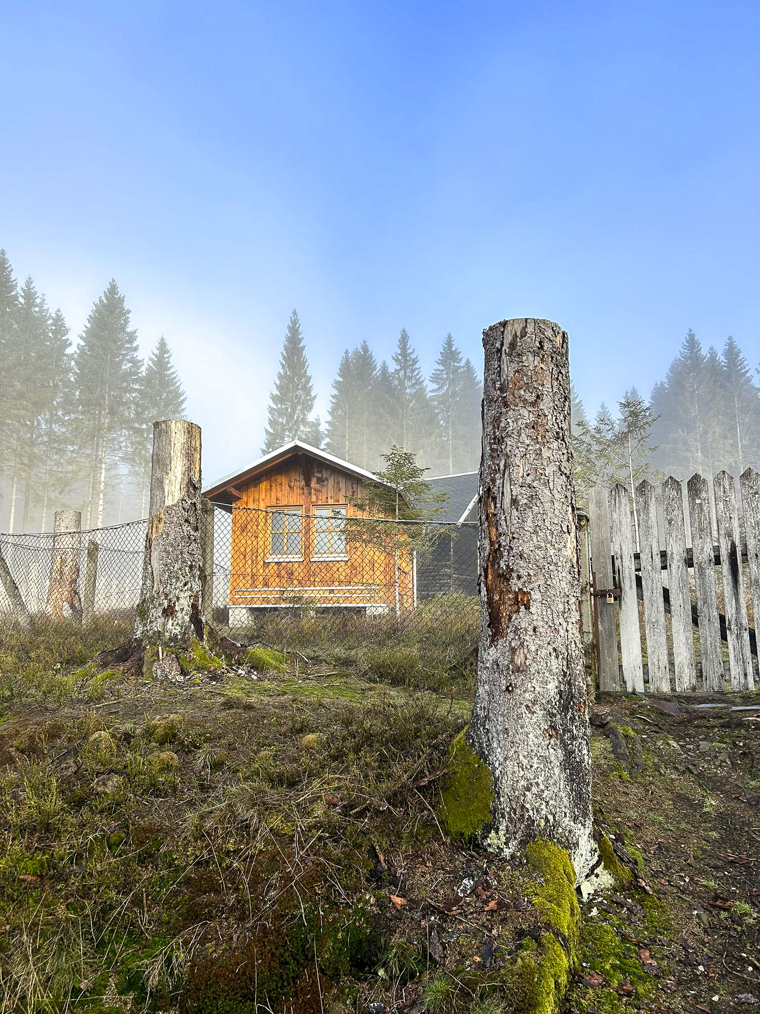 Frühlingserwachen an der Belegstelle